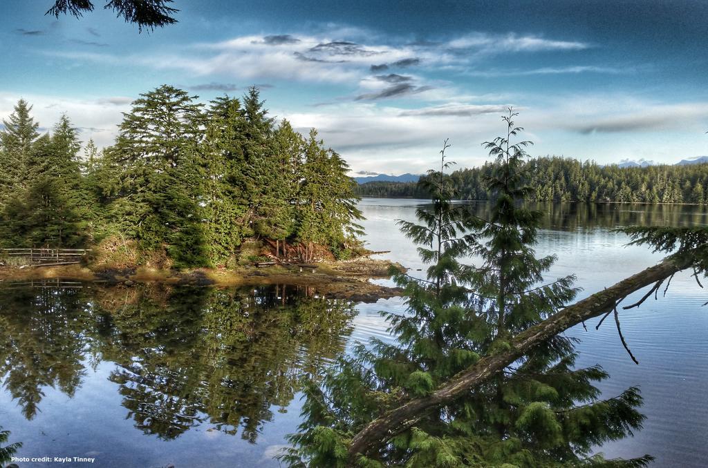 Waters Edge Shoreside Suites Ucluelet Exteriör bild