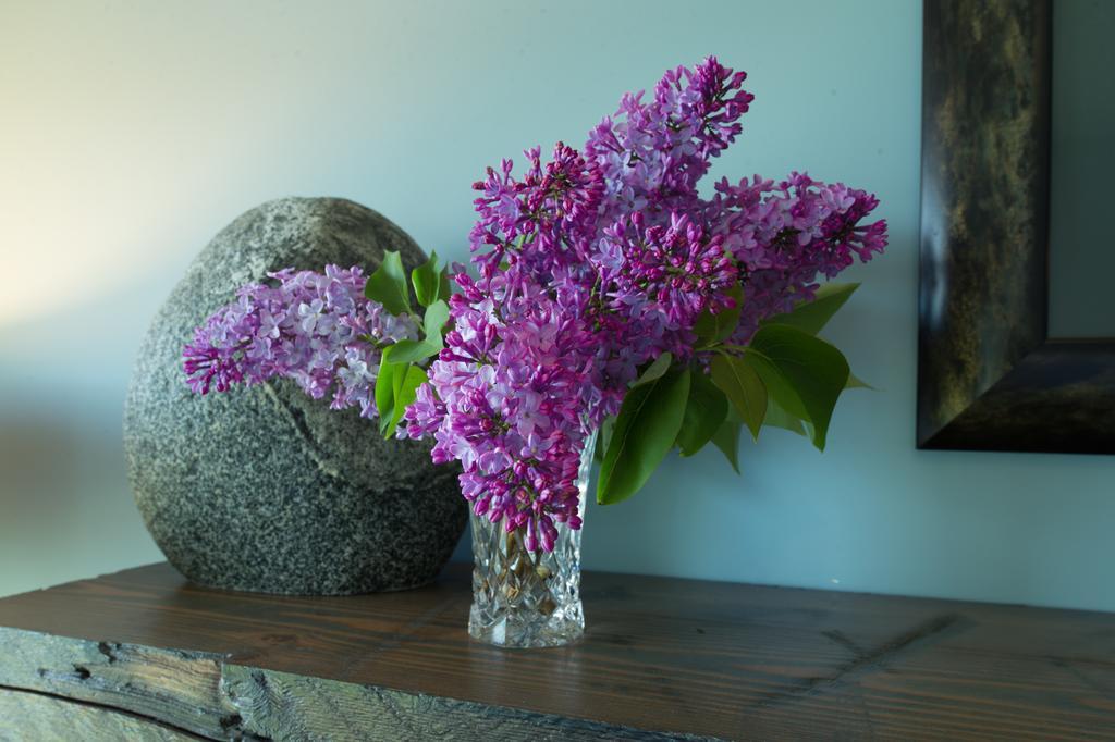 Waters Edge Shoreside Suites Ucluelet Exteriör bild