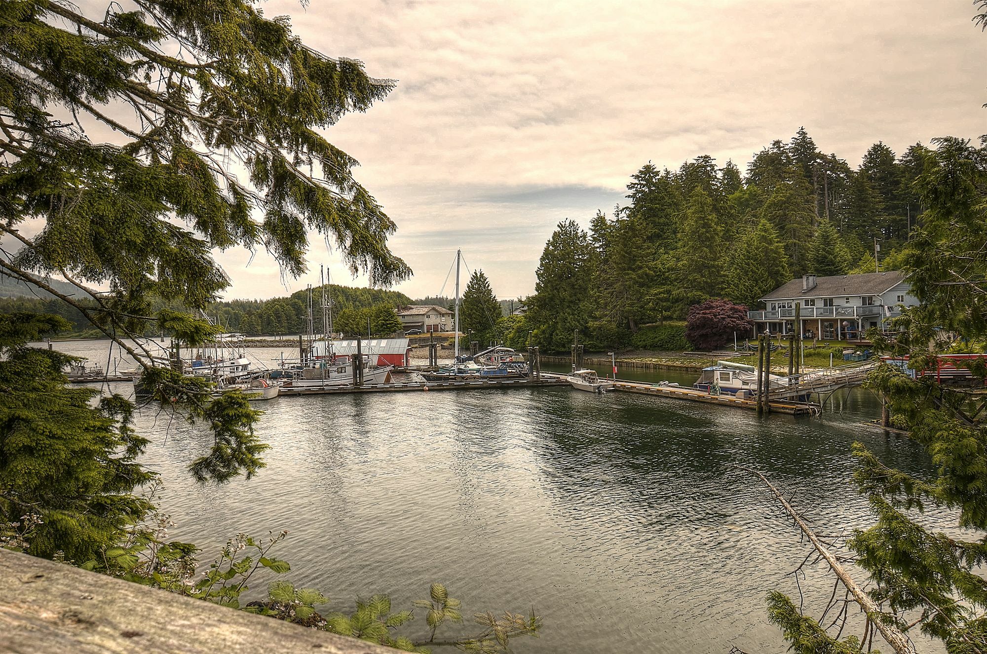 Waters Edge Shoreside Suites Ucluelet Exteriör bild
